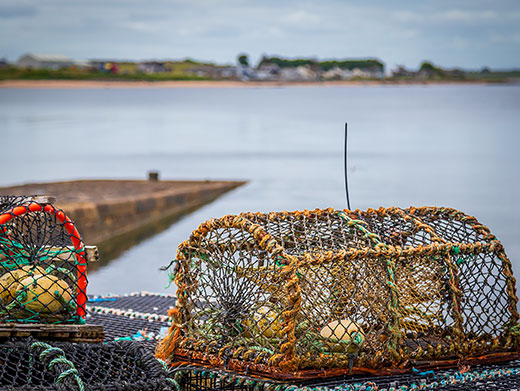 Traditional fishing at Portmahomack